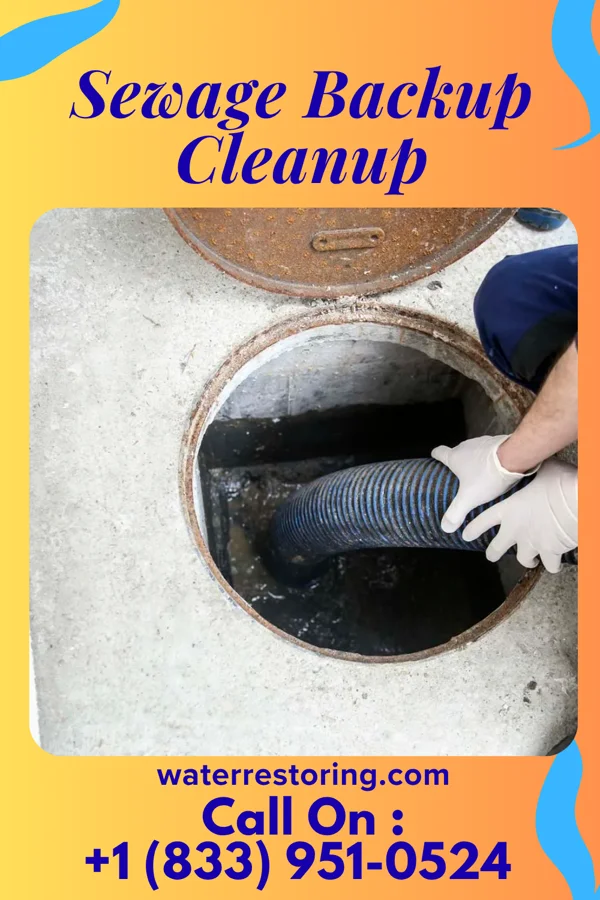 Sewage Backup Cleanup in Farley, MO
