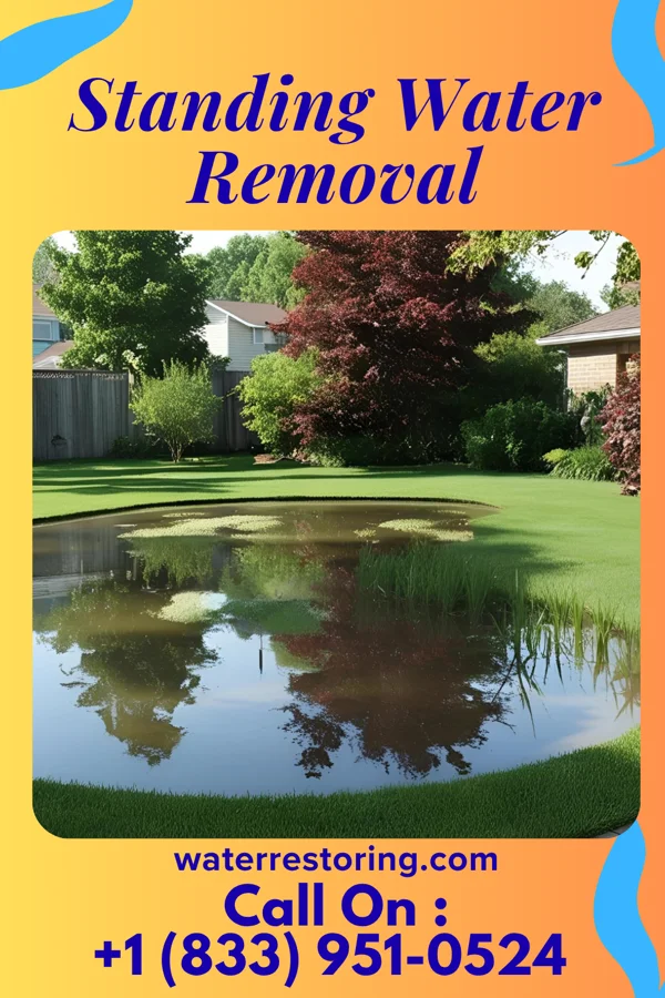Standing Water Removal in Farley, MO